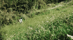 沙发防晒霜推荐品牌(皮沙发哪些牌子好)