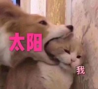 什么品牌防晒霜美白好用(什么牌子的防晒霜有美白果)