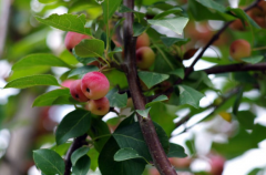 京科整形多少钱(京山整形医院)