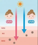 工地使用的防晒霜品牌(工地使用的防晒霜品牌有哪些)