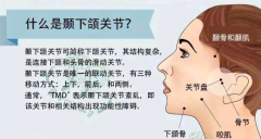 上海下颌骨整形大概多少钱(上颚骨整形多少钱)