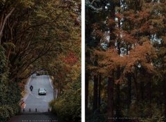 小众品牌墨镜平价防晒霜(小众防晒霜推荐)