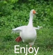 防晒霜英树是十大品牌(英树眼霜哪个好)