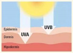 高原防晒霜品牌排行榜图片(防晒霜品牌)