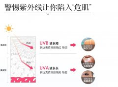 世界排名前十的防晒霜品牌(世界排名前十的防晒霜品牌图片)