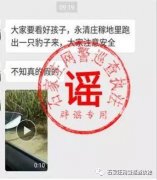 廊坊鼻整形多少钱(鼻子整形的价钱)