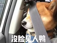 能当素颜霜用的防晒霜品牌(可以当素颜霜的防晒霜)