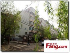 金炫澈整形多少钱(金炫美整形)