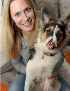 宠物狗整形费用多少呢(宠物狗美容一次需要多少钱?)