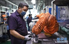 东莞防晒霜贴牌品牌有哪些(防晒服哪家品牌做的好)