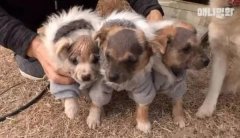 不长毛防晒霜有哪些品牌(比较有名的防晒霜品牌)