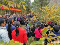 罗平整形多少钱(罗平人流多少钱)