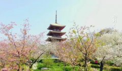 花印防晒霜出自哪里的品牌(花印防晒和安耐晒防晒)