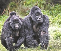 艾利品牌防晒霜(艾利品牌防晒霜好用吗)