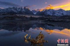 青海男防晒霜推荐品牌(青海男防晒霜推荐品牌有哪些)