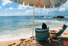 日本品牌帽子防晒霜怎么样(日本防晒帽子真的防晒吗)