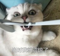 滨州品牌防晒霜加工厂(滨州品牌防晒霜加工厂电话)