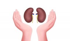 南京儿童防晒霜品牌排行榜(婴儿防晒霜十大)