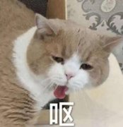 南京做个微整形多少钱啊(南京微整哪家美容医院好)