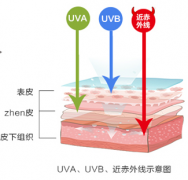 日本头发防晒霜品牌有哪些(日本好防晒霜)
