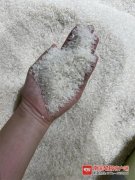 叶绿素防晒霜品牌(叶绿素防晒霜品牌有哪些)