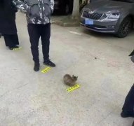 一米品牌防晒霜怎么样好用吗(一百多的防晒霜哪个牌子好)