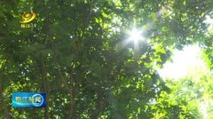 阳江品牌隔离防晒霜多少钱(优雅隔离防晒霜多少钱)