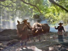 希腊游泳防晒霜品牌有哪些(游泳防晒霜推荐)