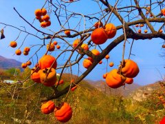 油气防晒霜推荐男士品牌(男士防晒霜哪款好用不油腻)