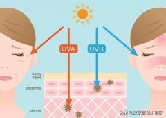 冬天婴儿防晒霜推荐品牌(哪个牌子的婴儿防晒霜好?)