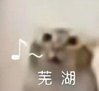 14元防晒霜推荐平价品牌(比较好的防晒霜推荐,平价一点)