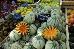 肉色的大品牌防晒霜叫什么(防晒霜的品种)