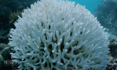 澳大利亚的品牌防晒霜(澳大利亚 防晒)