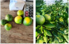 国内品牌防晒霜有哪些品种(的防晒霜是什么牌子)