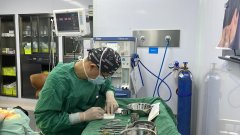 鼻尖鼻翼整形多少钱(鼻尖鼻翼整形多少钱)