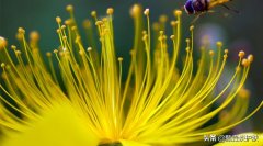 高分子防晒霜有哪些品牌(专业防晒霜的品牌)