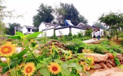 徐州学微整形多少钱(徐州微美整形)