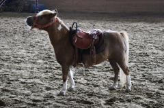 平顶山防晒霜品牌有哪些(防晒面霜品牌排行榜10强)