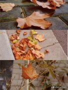 敏感肌高温防晒霜推荐品牌