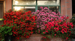 纯植物防晒霜品牌(什么的防晒霜是植物的)