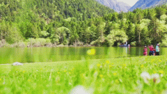 四川平价防晒霜有哪些品牌(四川平价防晒霜有哪些品牌好)