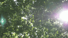 户外品牌帽子防晒霜推荐(户外防晒帽子品牌排行)