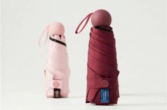 防晒霜手套品牌排行榜新(防晒霜手套品牌排行榜新价格)