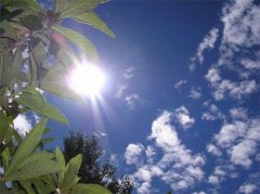 什么品牌防晒霜不黑脸好用(晒不黑防晒霜排名)