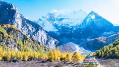 品牌围巾男士防晒霜推荐(品牌围巾男士防晒霜推荐一下)