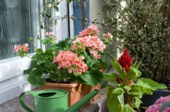 防晒霜平价耐晒品牌排行榜(性价比高的防晒霜排行榜)