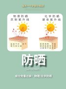 防晒霜各品牌成分对比图片(各大品牌防晒霜使用效果对比)