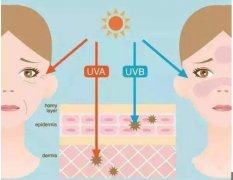 生物防晒霜有什么品牌(防晒霜都有什么牌子)