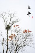 品牌魅如雪清霜防晒霜(魅如雪化妆品价格)