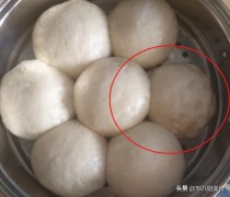 不锈钢馒头整形机价格多少(小型馒头成型机的价格)
